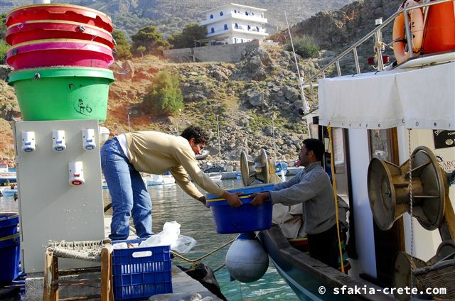 Photo report of a trip around Sfakia, Crete, May 2006